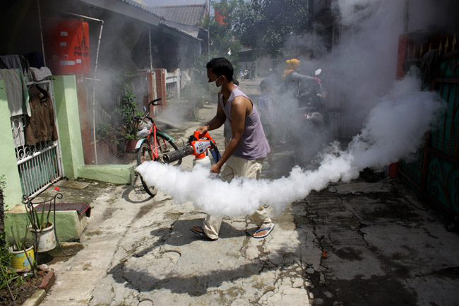 dengue-1_custom-67014a2d4166ce6ddff6ba408a674a013206ce37.jpg