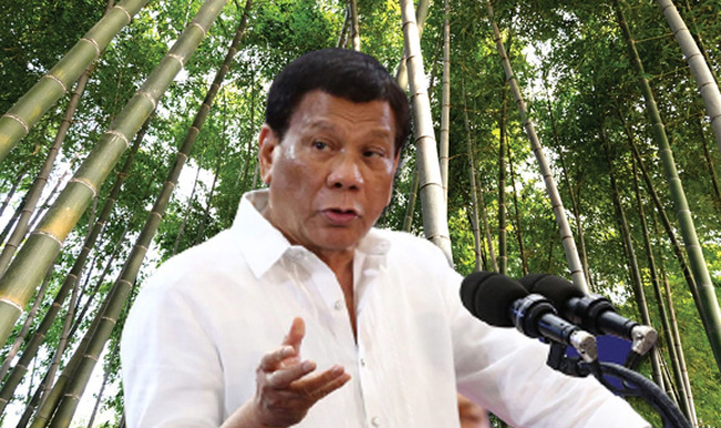 prrd-ph-b2.jpg